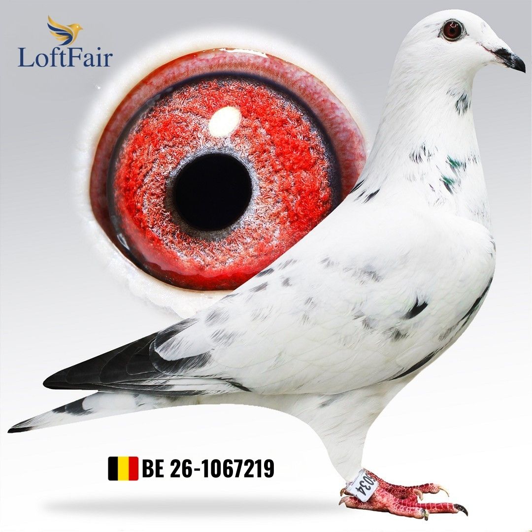 <br />
<b>Deprecated</b>:  htmlspecialchars(): Passing null to parameter #1 ($string) of type string is deprecated in <b>/home/zyomsaomay/loftfair.com/views/public_pages/anasayfa.view.php</b> on line <b>40</b><br />
